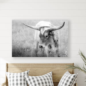 A black-and-white photograph of a Texas Longhorn calf - nursery wall art idea