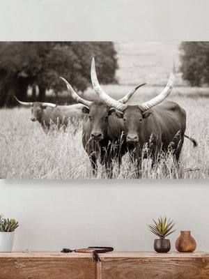 Longhorn cow wall decor canvas – rustic Western fine art print by Debra Gail Fine Art