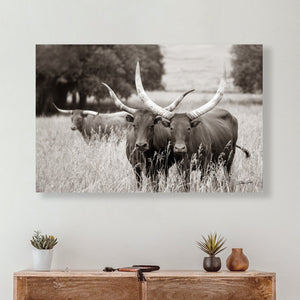Longhorn cow wall decor canvas – rustic Western fine art print by Debra Gail Fine Art