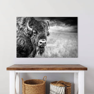 American Bison Canvas Print | Black and White Western Wildlife Wall Art