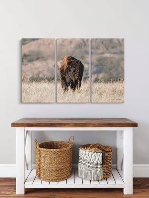 American Buffalo Triptych Wall Art | 3-Panel Canvas