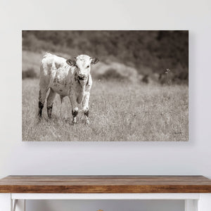 Texas Longhorn wall canvas barnwood framed Western fine art print by Debra Gail Fine Art