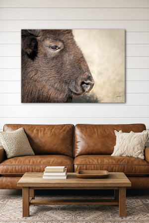 Bison wall art – rustic prairie photography print by Debra Gail Fine Art