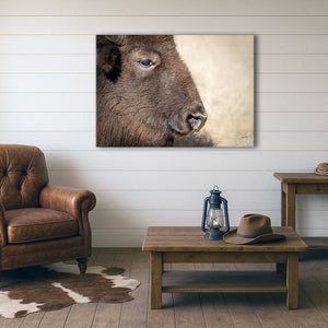 Bison wall art – rustic prairie photography print by Debra Gail Fine Art
