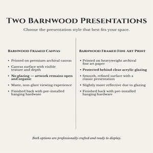 Barnwood Framed Canvas and Barnwood Framed Fine Art Print
