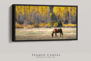 A framed canvas depicting a brown horse grazing in a field with yellow trees in the background.