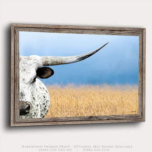 A close-up of a white and brown spotted bull's head peeking out from behind a wooden frame, with a field of golden wheat in the background.