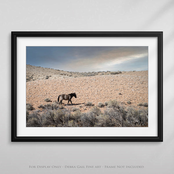 Wild Mustang Horse Photography Print for Captivating Home Decor - Nature Wall Art