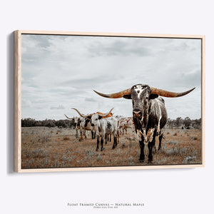 Longhorn Cow Canvas - Large Western Decor | Rustic Farmhouse Wall Art Print