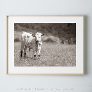 a black and white photo of a cow in a field