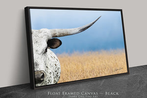 A close-up of a white bull's head with a long horn, set against a field of tall grass.