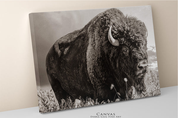 LARGE BISON WALL ART PRINT OR CANVAS BY DEBRA GAIL