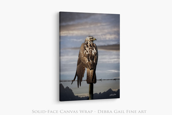 HAWK ON THE WIRE - WESTERN GOTHIC FINE ART PRINT