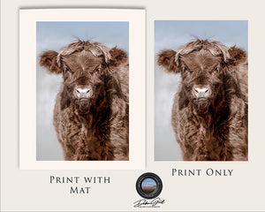 Highland cow wall art – farmhouse decor fine art photography by Debra Gail Fine Art