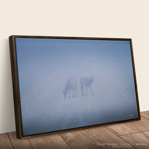 Bull Elk Wall Art | Foggy Great Plains Photography