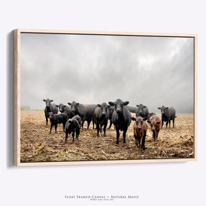 Black Angus Wall Art | Rustic Farmhouse Ranch Cattle Landscape