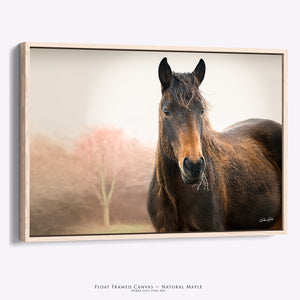Wild Horse Art Print | Rustic Western Wall Art Canvas