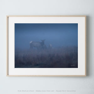 a picture of two deer in a foggy field