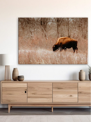 Buffalo Bison wall art canvas – rustic prairie photography print by Debra Gail Fine Art