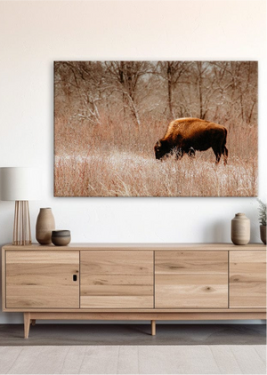 Buffalo Bison wall art canvas – rustic prairie photography print by Debra Gail Fine Art