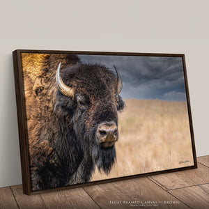 Premium framed bison wall art with natural brown walnut wood float frame
