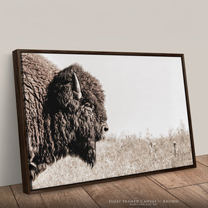 Neutral Bison Wall Art - Rustic Western Decor | Prairie Wildlife Canvas Print