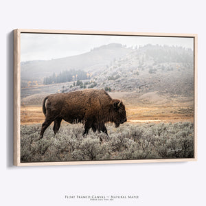 Bison Wall Art - Large Buffalo Canvas Print | Rustic Western Home Decor