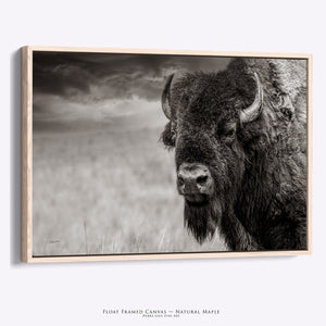Western Bison Art | Rustic Farmhouse Bison Wall Decor - Buffalo Canvas Print