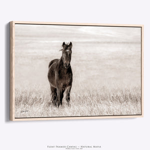 Wild Horse Wall Art | Quiet Minimalist Prairie Landscape Canvas
