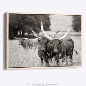 Watusi Cattle Wall Art | Neutral Texas Longhorns Rustic Farmhouse Decor