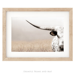 Texas Longhorn Canvas Print – Large Rustic Farmhouse Wall Art Decor