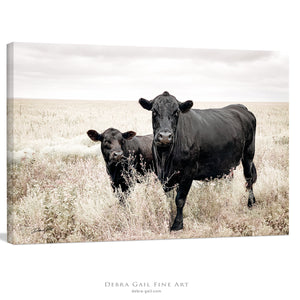 Black Angus cow calf wall art – fine art Western wildlife print by Debra Gail Fine Art