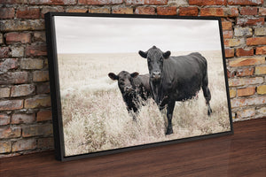 Black Angus cow calf wall art – fine art Western wildlife print by Debra Gail Fine Art