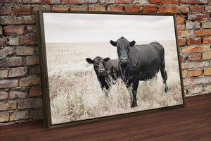Black Angus cow calf wall art – fine art Western wildlife print by Debra Gail Fine Art