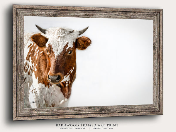 Longhorn Calf Fine Art Print | Rustic Texas Longhorn Wall Art