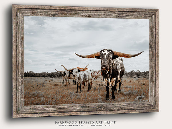 Majestic Texas Longhorns - Western Ranch Decor