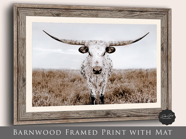 Beautiful White Texas Longhorn Picture - Large Farmhouse Art