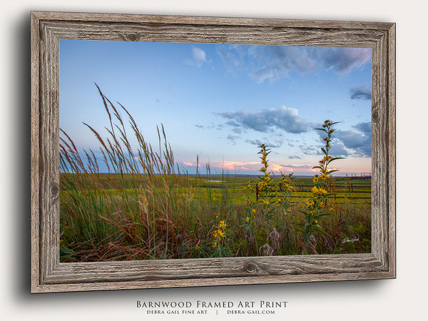 Kansas Flint Hills Wildflowers Fine Art Print - Farmhouse Decor