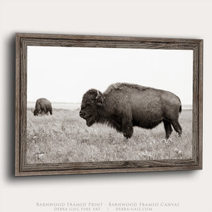Buffalo Wall Art | Large Bison Canvas Print - Rustic Western Home Decor