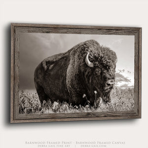 Plains Bison Photography Wall Art in Sepia | Rustic Buffalo Canvas