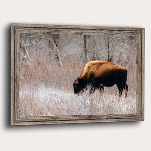 Buffalo Canvas Art | Bison Wall Art - Rustic Western Decor - Great Plains Buffalo