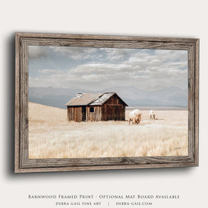 Buffalo fine art print – spiritual white bison Great Plains wildlife wall decor by Debra Gail Fine Art