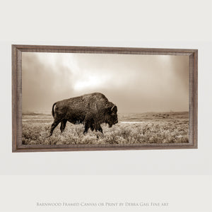 American Bison Wall Art | Rustic Western Landscape Canvas
