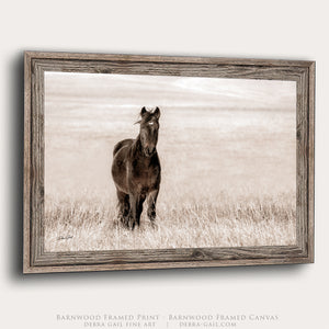 Wild Horse Photography Canvas or Print | Original Debra Gail Fine Art Western Wall Decor