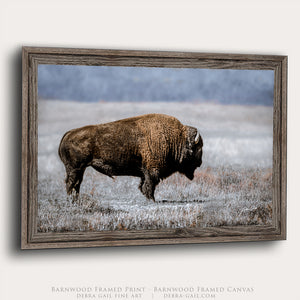 American Bison Wall Art | Rustic Buffalo Canvas Print for Western Home Decor