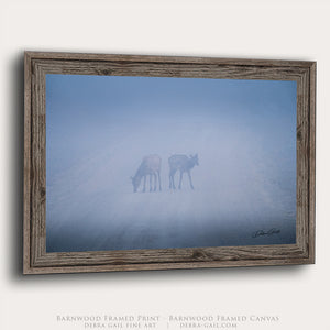 Bull Elk Wall Art | Foggy Great Plains Photography