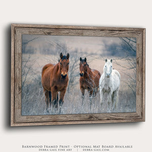 Wild Horses wall art – rustic Western fine art print by Debra Gail Fine Art