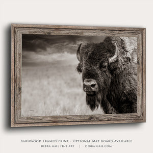 Buffalo Bison wall art canvas – rustic prairie photography print by Debra Gail Fine Art