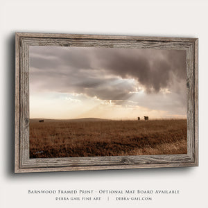 Black Angus cattle wall art – rustic Western photography print by Debra Gail Fine Art