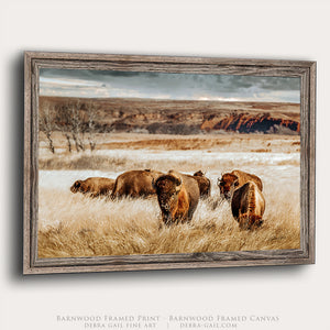 Bison Wall Art - Western Wildlife Art | Buffalo Canvas Print Decor